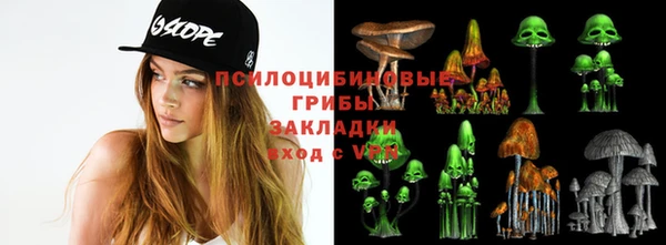 прущая мука Армянск