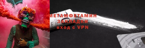 прущие грибы Аркадак