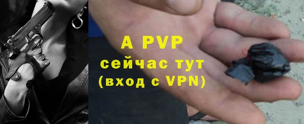 прущие грибы Аркадак