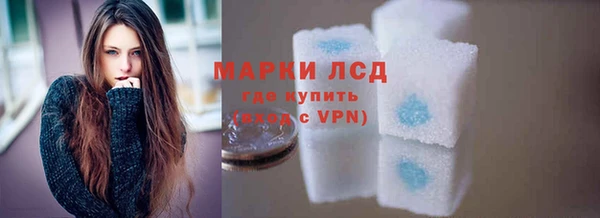 прущие грибы Баксан