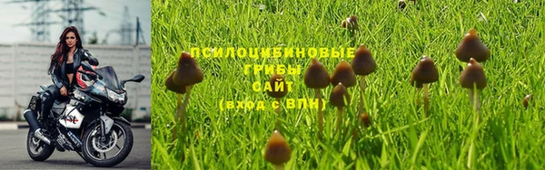 прущая мука Армянск