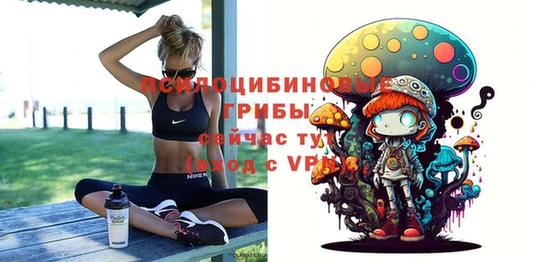 прущие грибы Аркадак