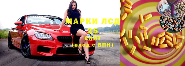 прущие грибы Аркадак